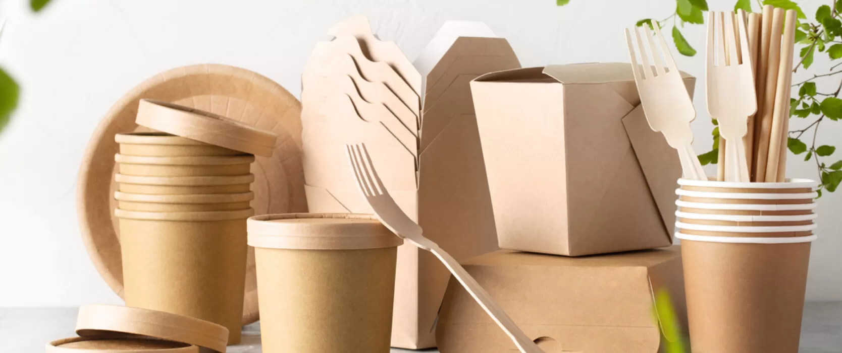 Why Do We Need Sustainable Food Packaging?