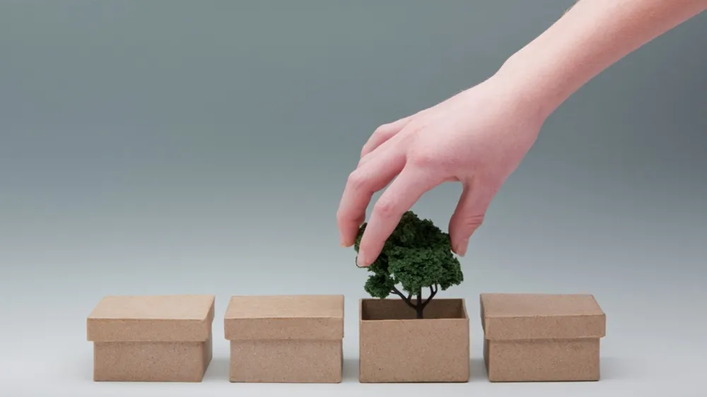 Exploring the Role of Packaging Materials in Sustainable Design