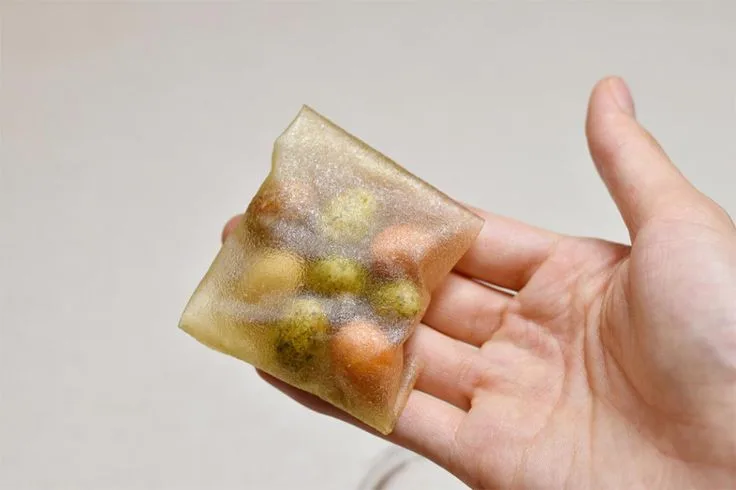 Seaweed Packaging 