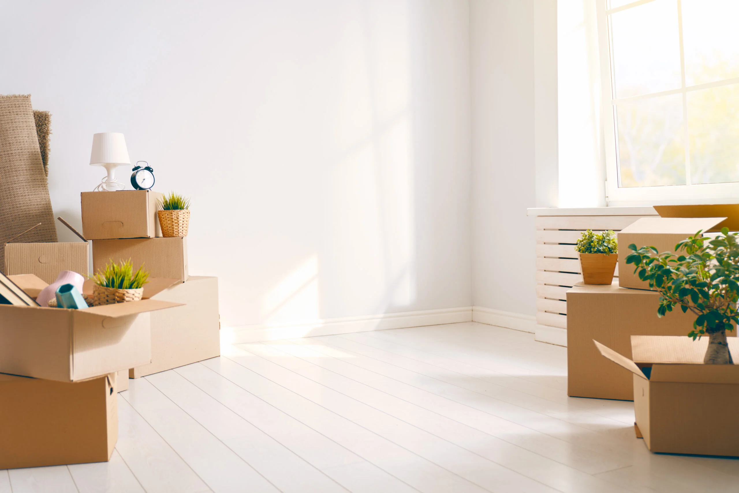 Difference Between Plastic And Cardboard Storage Boxes