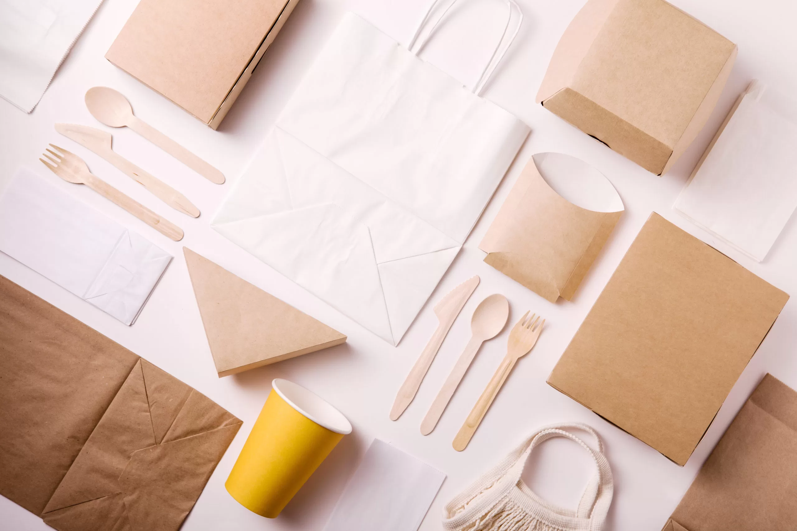 6 Best Eco-Friendly Food Packaging Options