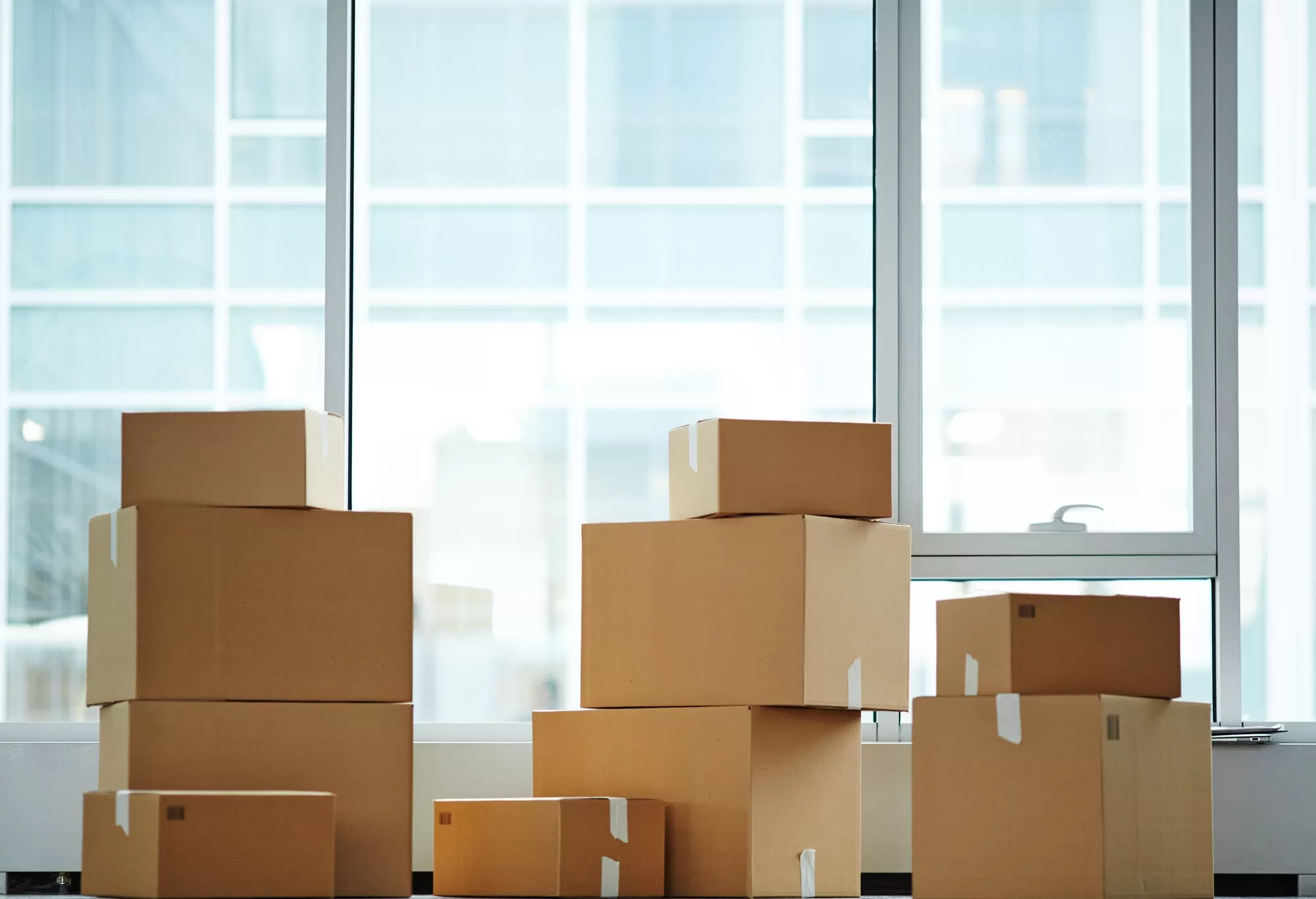 Packing vs Packaging: Clear Insights for your business needs